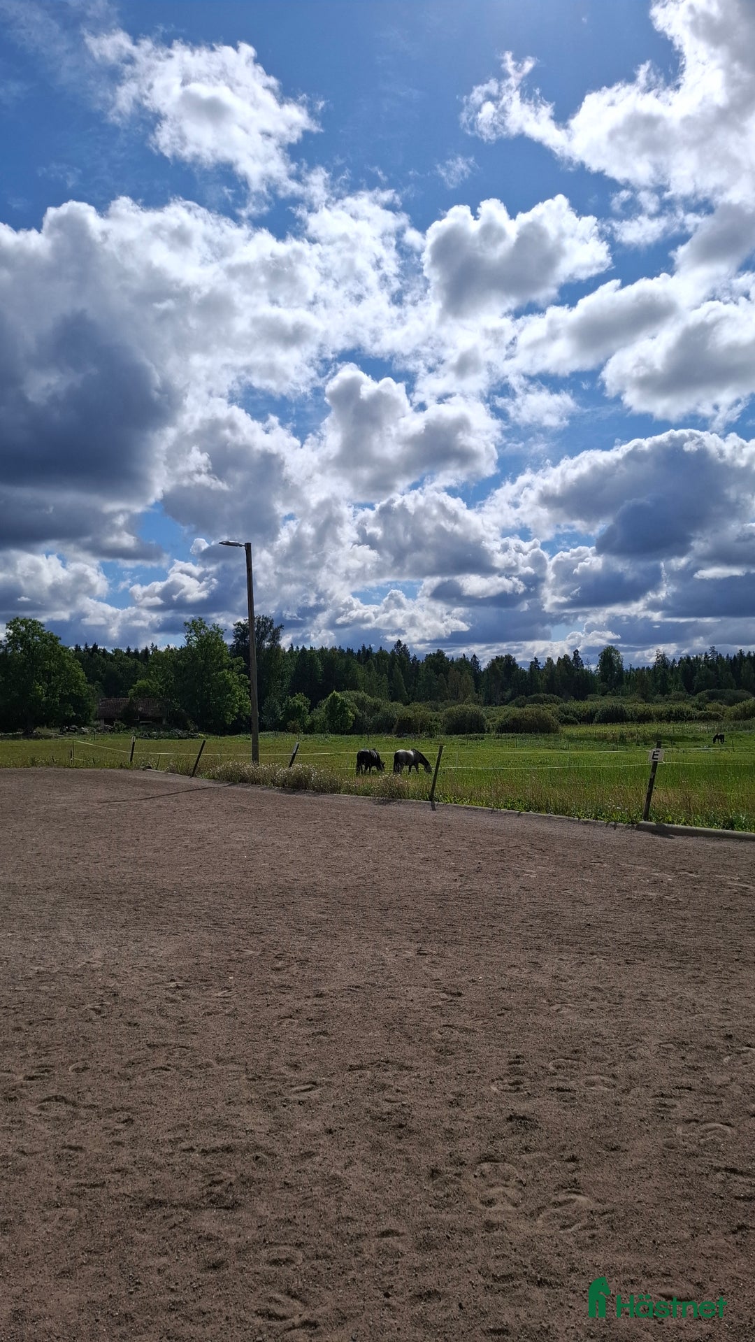  stallplats finnes: Lösdrift där hästar får vara hästar. i Tjällmo - Annons 6