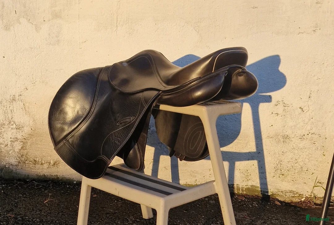 Sadlar hästutrustning till salu: Lippo Allegria i Matfors - Annons 6