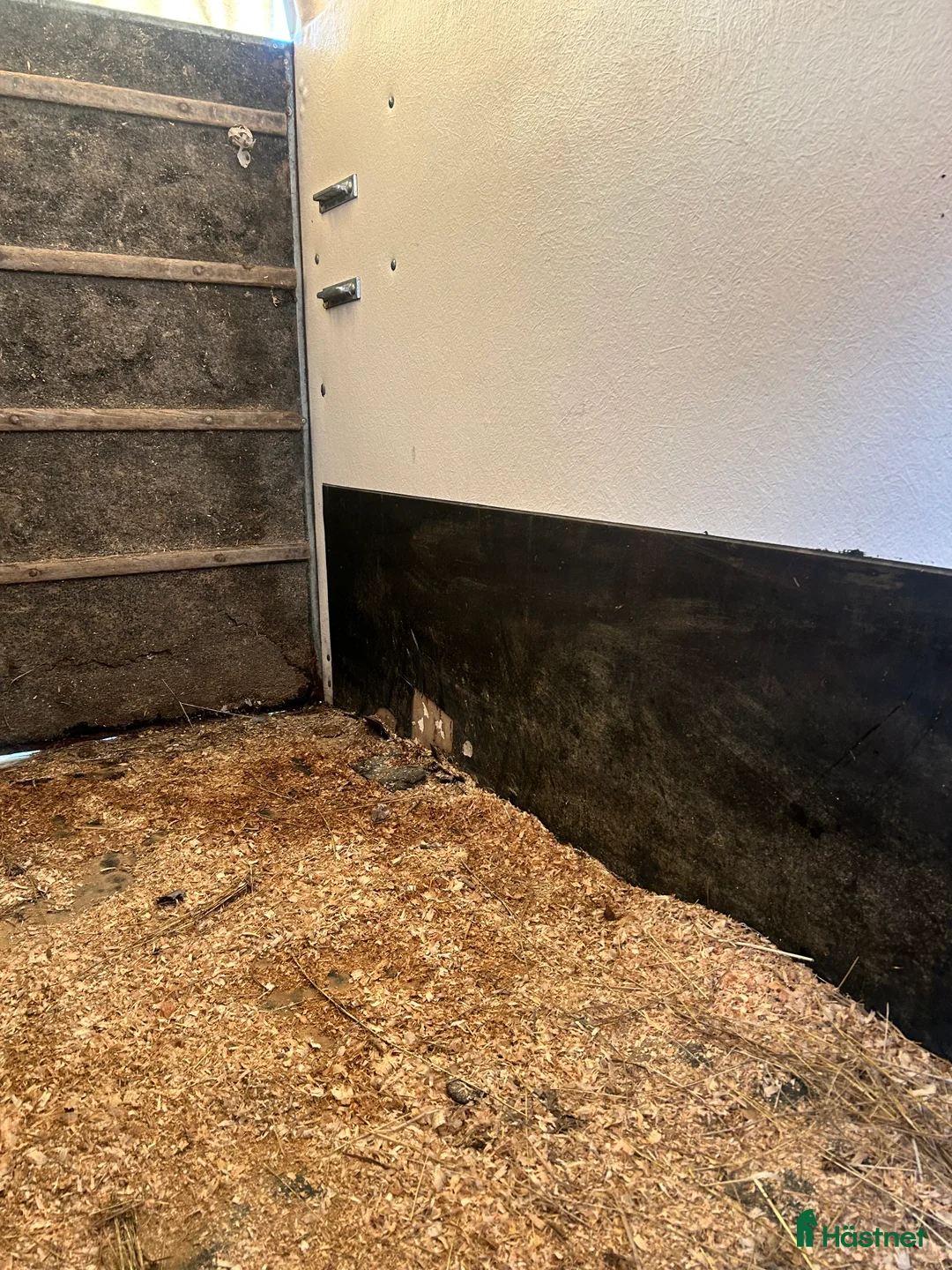 Hästtransporter  fordon & transport till salu: Trevlig hästtransport - Annons 2