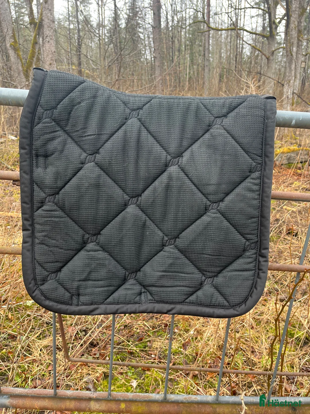 Schabrak & Vojlockar hästutrustning till salu: Back on track dressyrschabrak strl cob - Annons 2