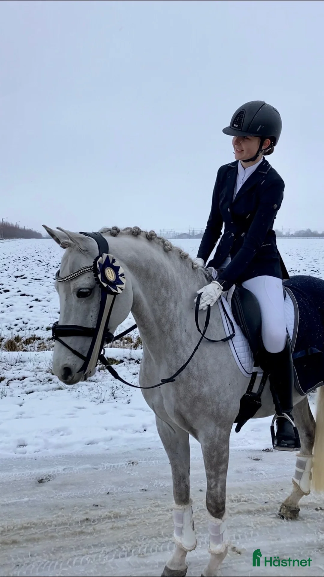 Dressyr hästar till salu: Dubbeltalang med utstrålning - Annons 7