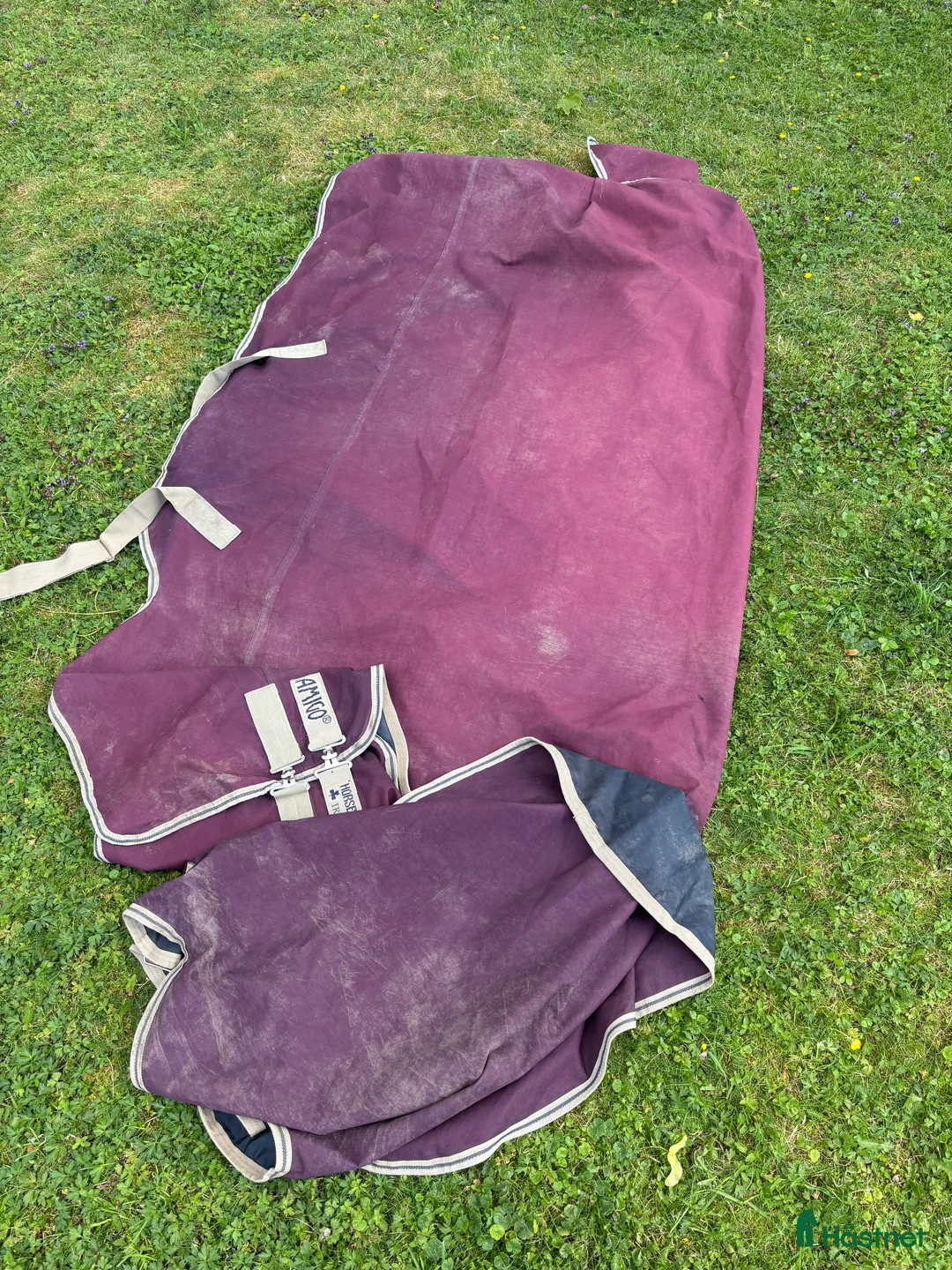 Täcken hästutrustning till salu: Amigo regntäcke säljes 0 g stl 155 i Uppsala - Annons 2