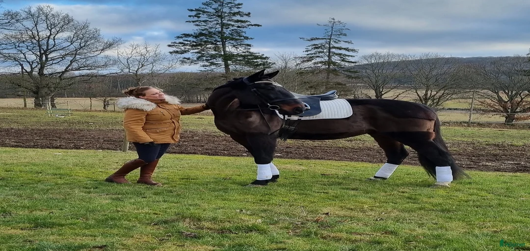 Galleribild {{count}}