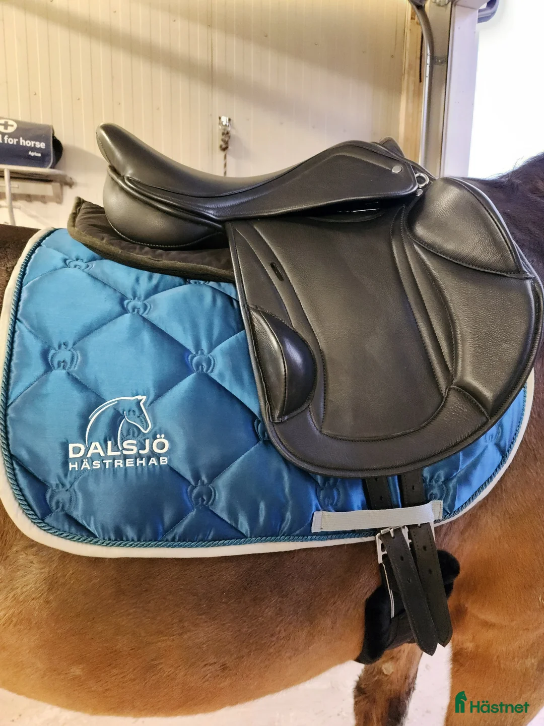 Sadlar hästutrustning till salu: Hopp/fälttävlanssadel med enkåpa i Borlänge - Annons 1