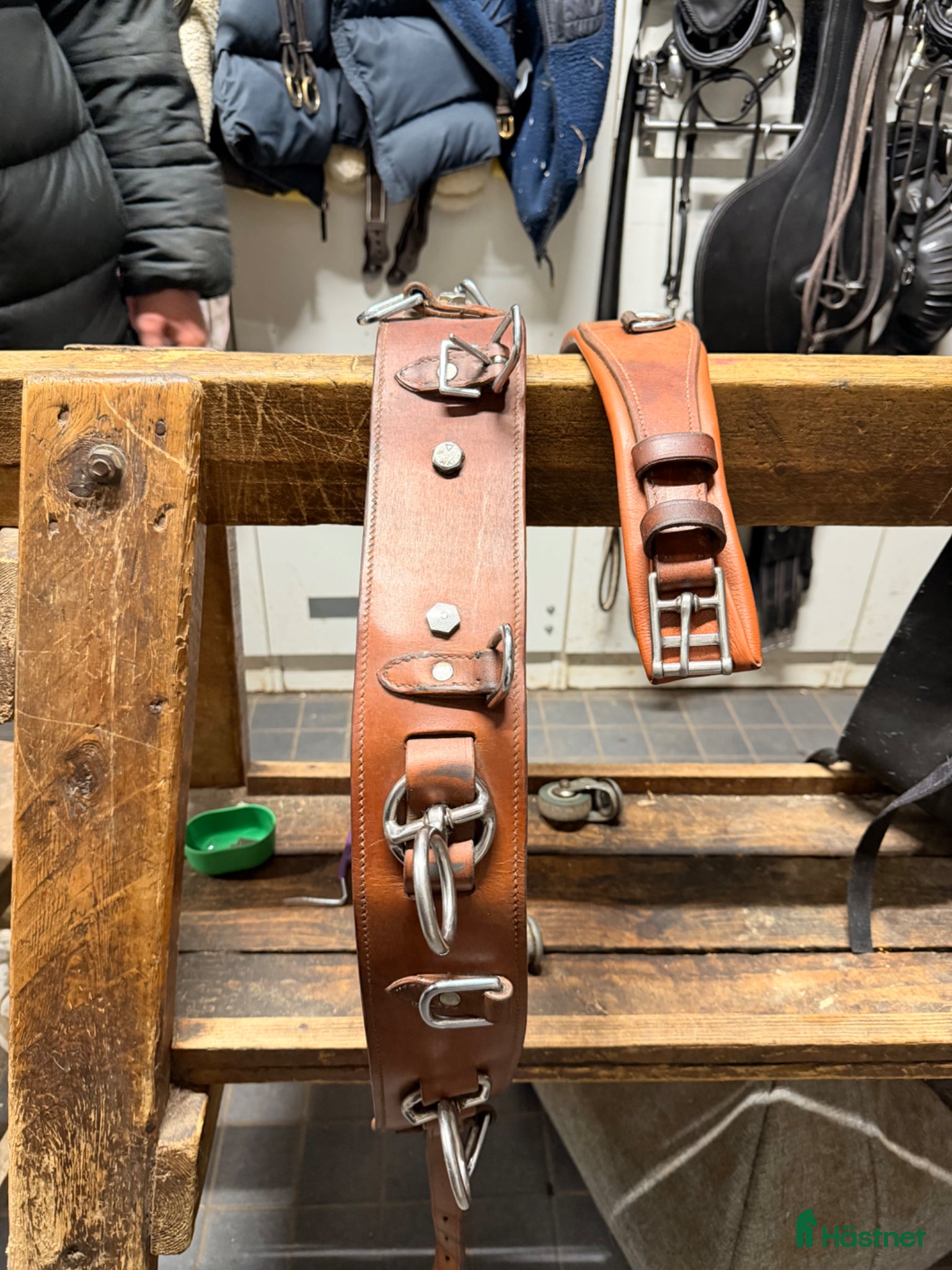 Övrig Hästutrustning hästutrustning Globus Tömkörningsgjord full  - Annons 1