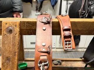 Övrig Hästutrustning hästutrustning Globus Tömkörningsgjord full - Annons 1