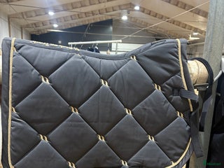 Schabrak & Vojlockar hästutrustning till salu: Back on track schabrak i Lidköping - Annons 4