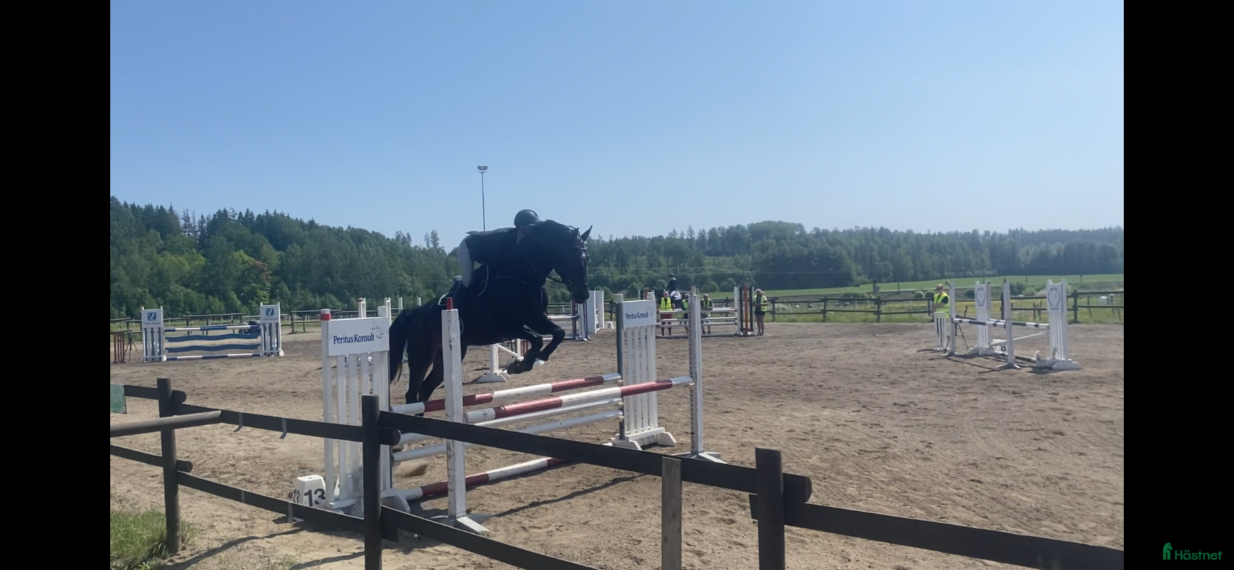  hästar Söker du tävlingskompis? i Filipstad - Annons 15