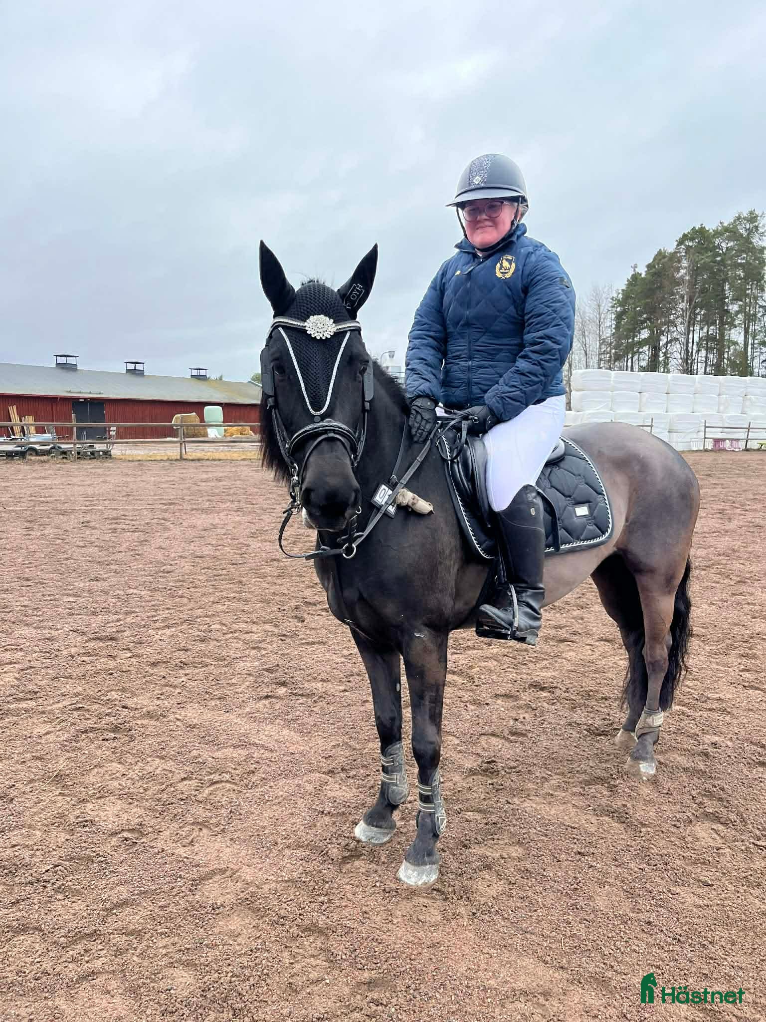  hästar Söker ponny/ foderponny - Annons 2