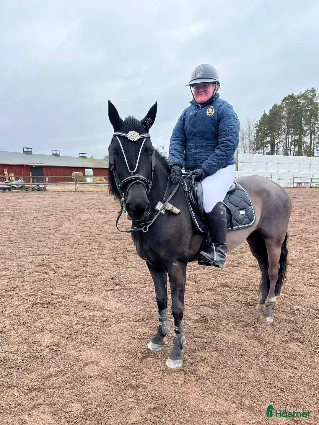 Hoppning hästar sökes: Söker ponny/ foderponny - Annons 1