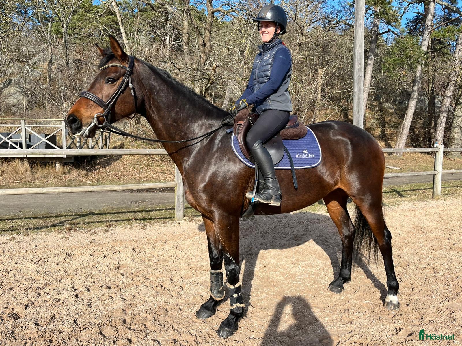  hästar Trevlig hobbyhäst - Annons 1