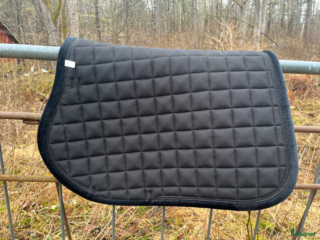 Schabrak & Vojlockar hästutrustning till salu: Allroundschabrak strl full  - Annons 2