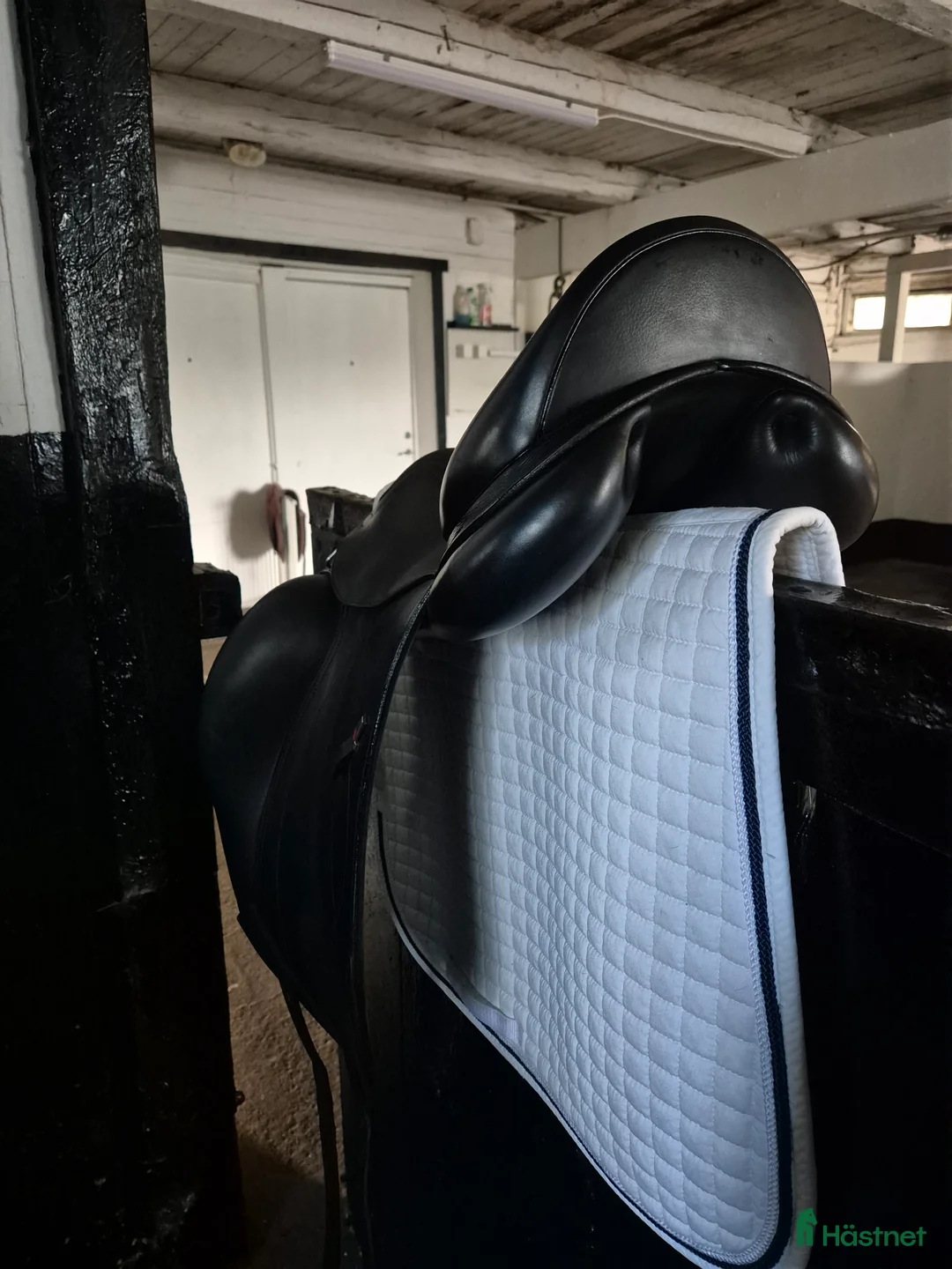 Sadlar hästutrustning till salu: Equipe olympia i fint skick säljes! i Varberg - Annons 5