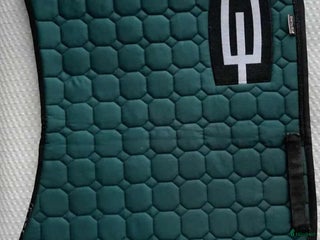 Schabrak & Vojlockar hästutrustning till salu: E logga schabrak säljes i Eskilstuna - Annons 2