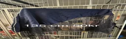 Täcken hästutrustning till salu: Olika täcken i olika skick  - Annons 4