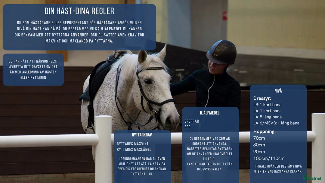 Allround hästar sökes: Hästar sökes för Student-SM i ridsport i Linköping - Annons 2