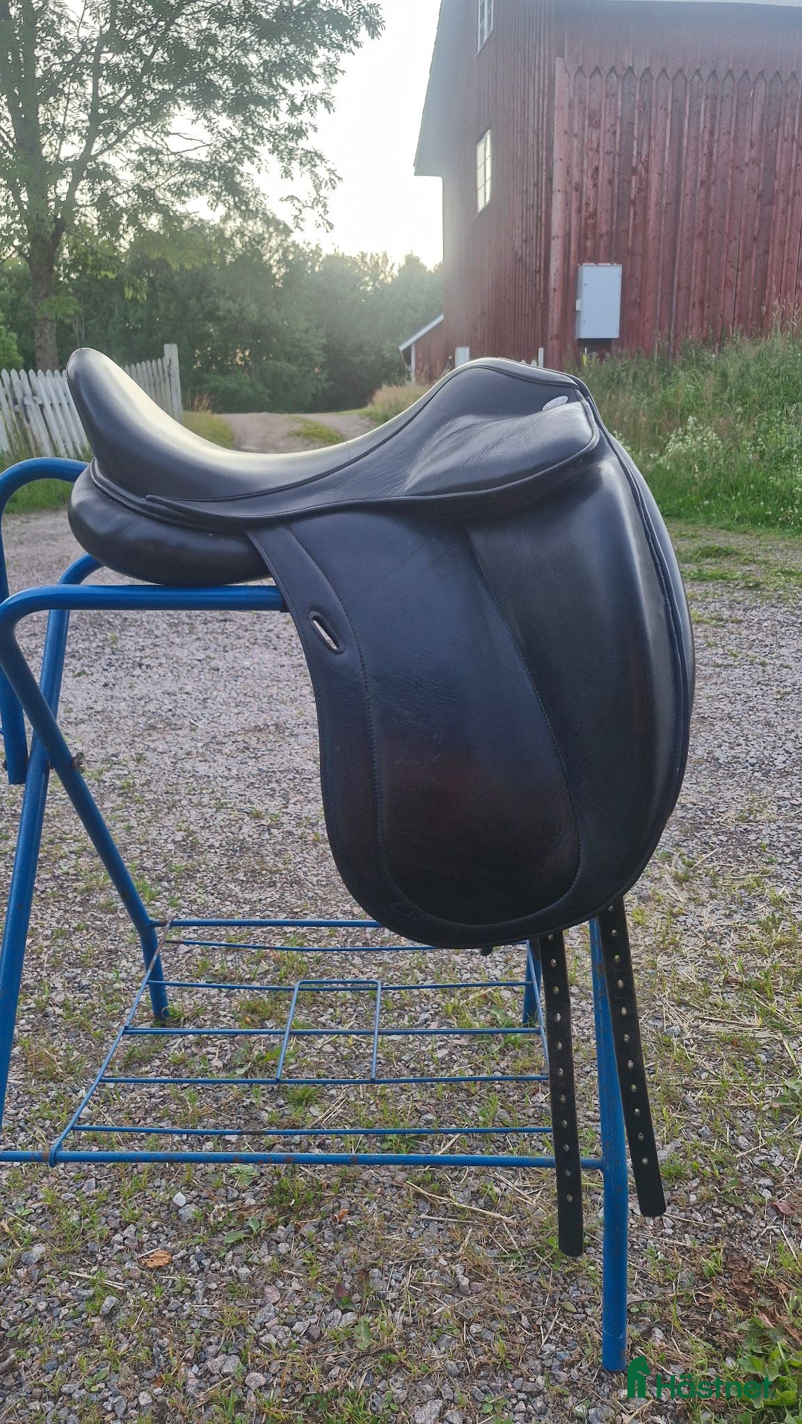 Sadlar hästutrustning Santa Cruz dressyrsadel - Annons 1