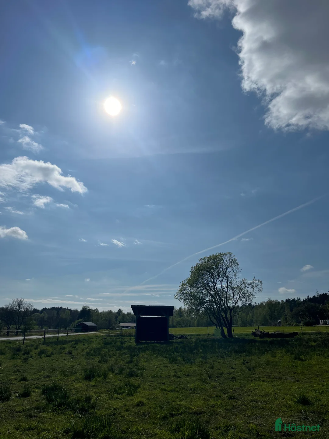  stallplats finnes: Stallplats Islandshäst lösdrift - Kungälv - Annons 6