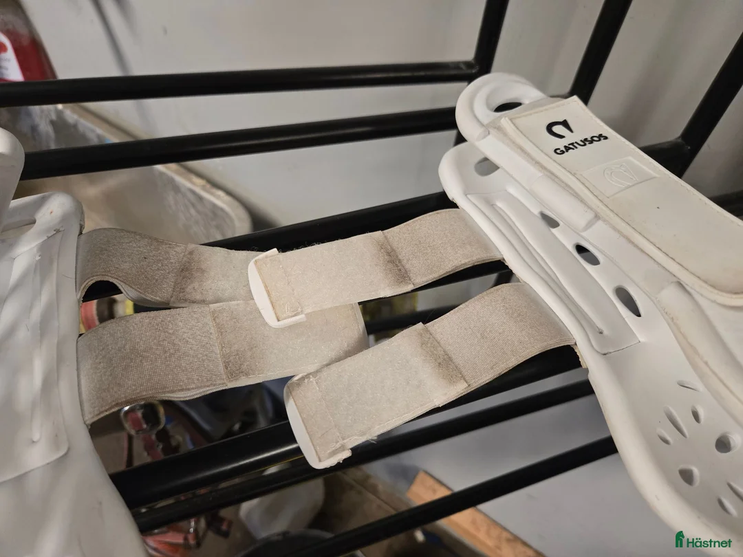 Benskydd hästutrustning till salu: Senskydd med god ventilation - Annons 4