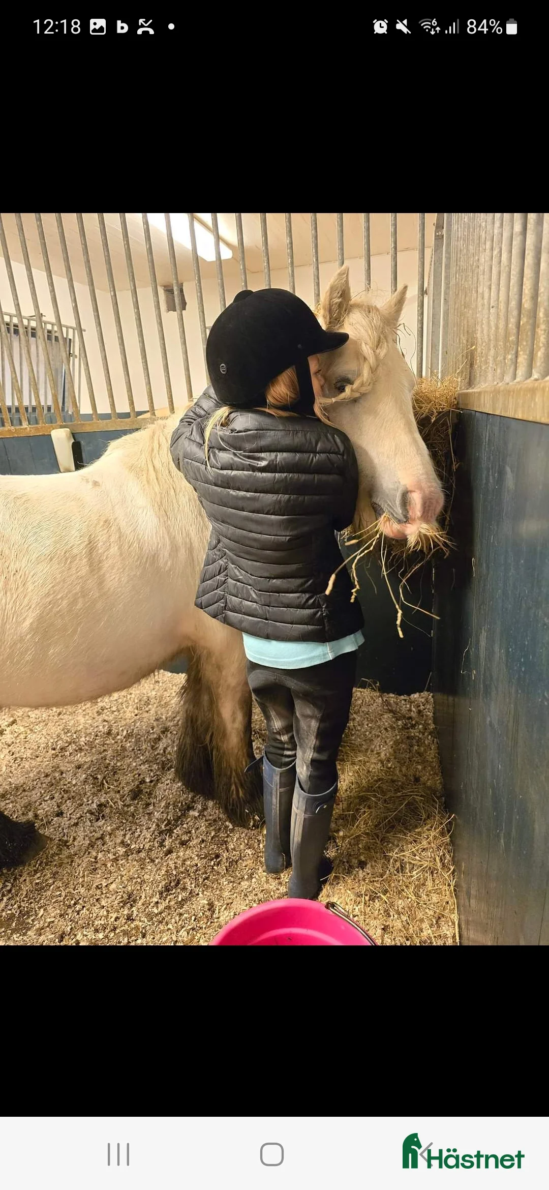 Övrigt hästar till salu: Supertrygg b ponny, även är lämplig för verksamhet i Säve - Annons 7