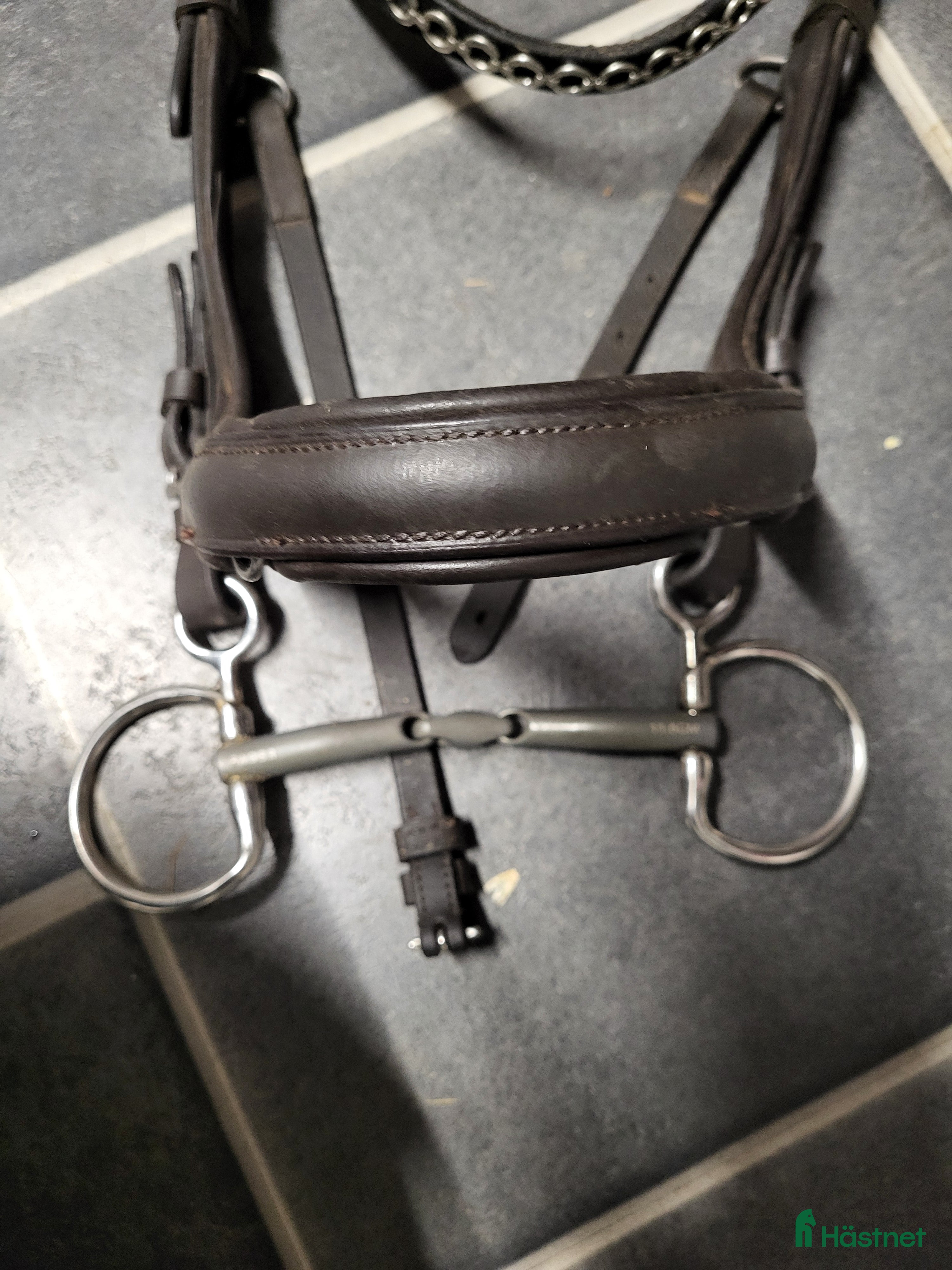 Bett hästutrustning till salu: Fagerbett Emil titan baucher  i Karlskrona - Annons 11