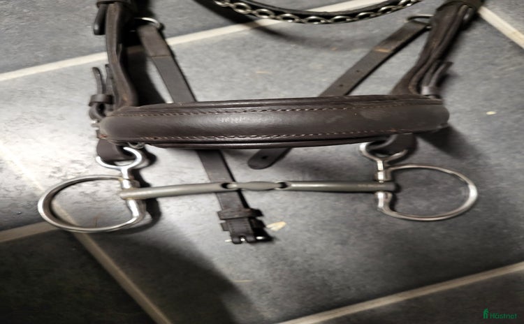 Bett hästutrustning till salu: Fagerbett Emil titan baucher  i Karlskrona - Annons 7