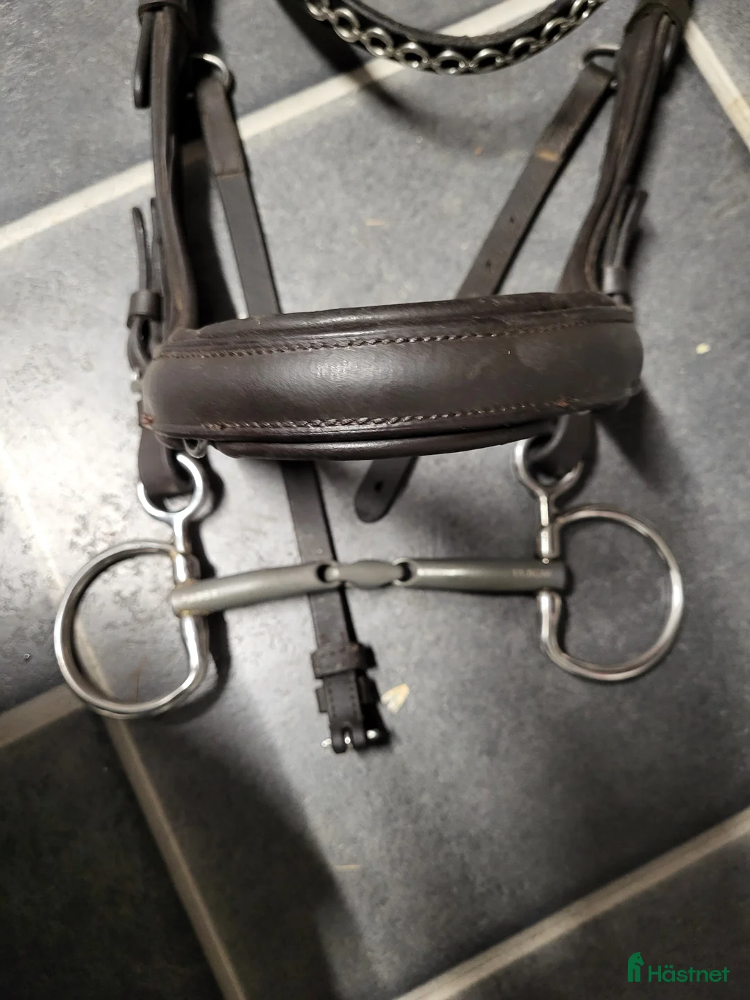 Bett hästutrustning till salu: Fagerbett Emil titan baucher  i Karlskrona - Annons 1