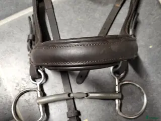 Bett hästutrustning Fagerbett Emil titan baucher i Karlskrona - Annons 8