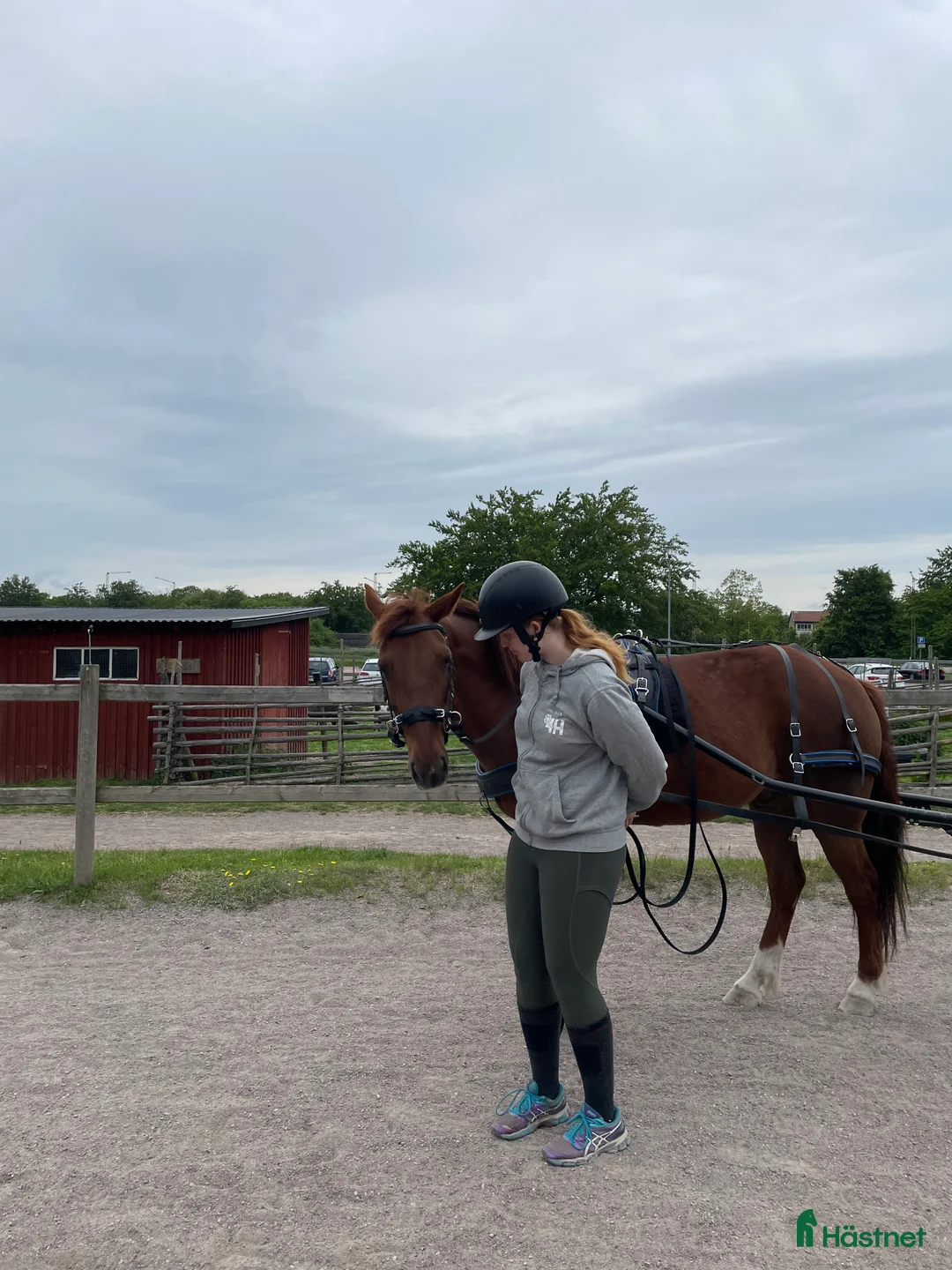 Galleribild {{count}}