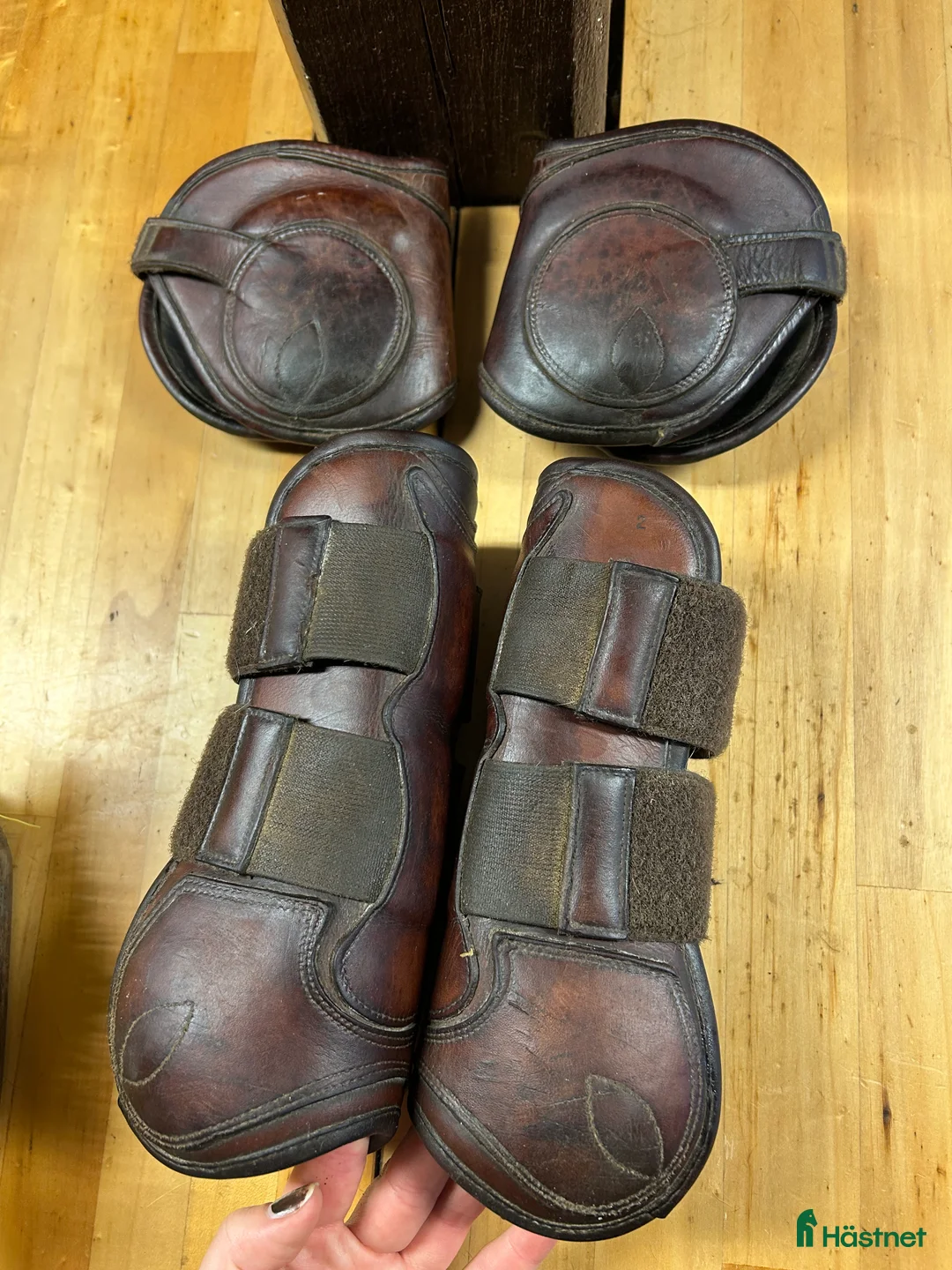 Benskydd hästutrustning till salu: CWD skydd i kalvskinn i Helsingborg - Annons 2