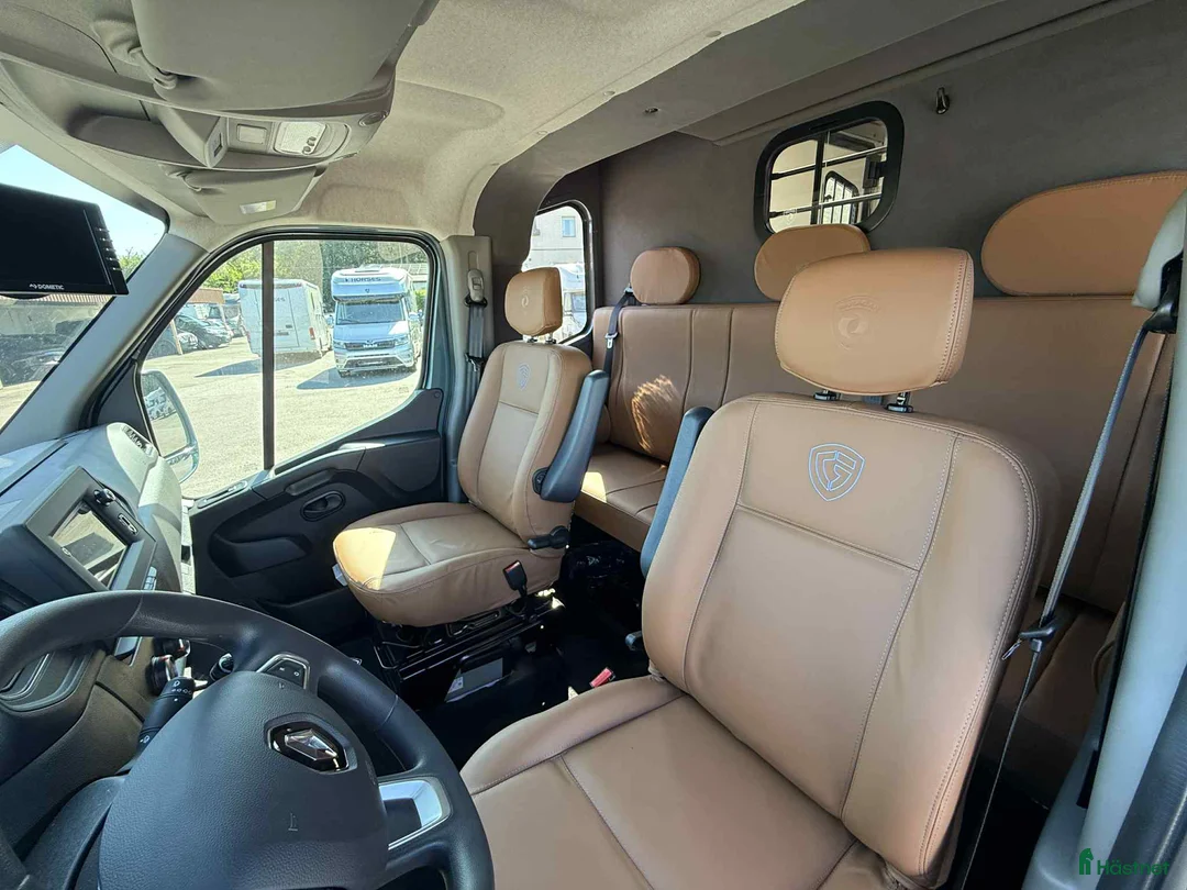 Hästlastbilar  fordon & transport till salu: PARAGAN EXCELSION 5XL STUTERI i Köping - Annons 17