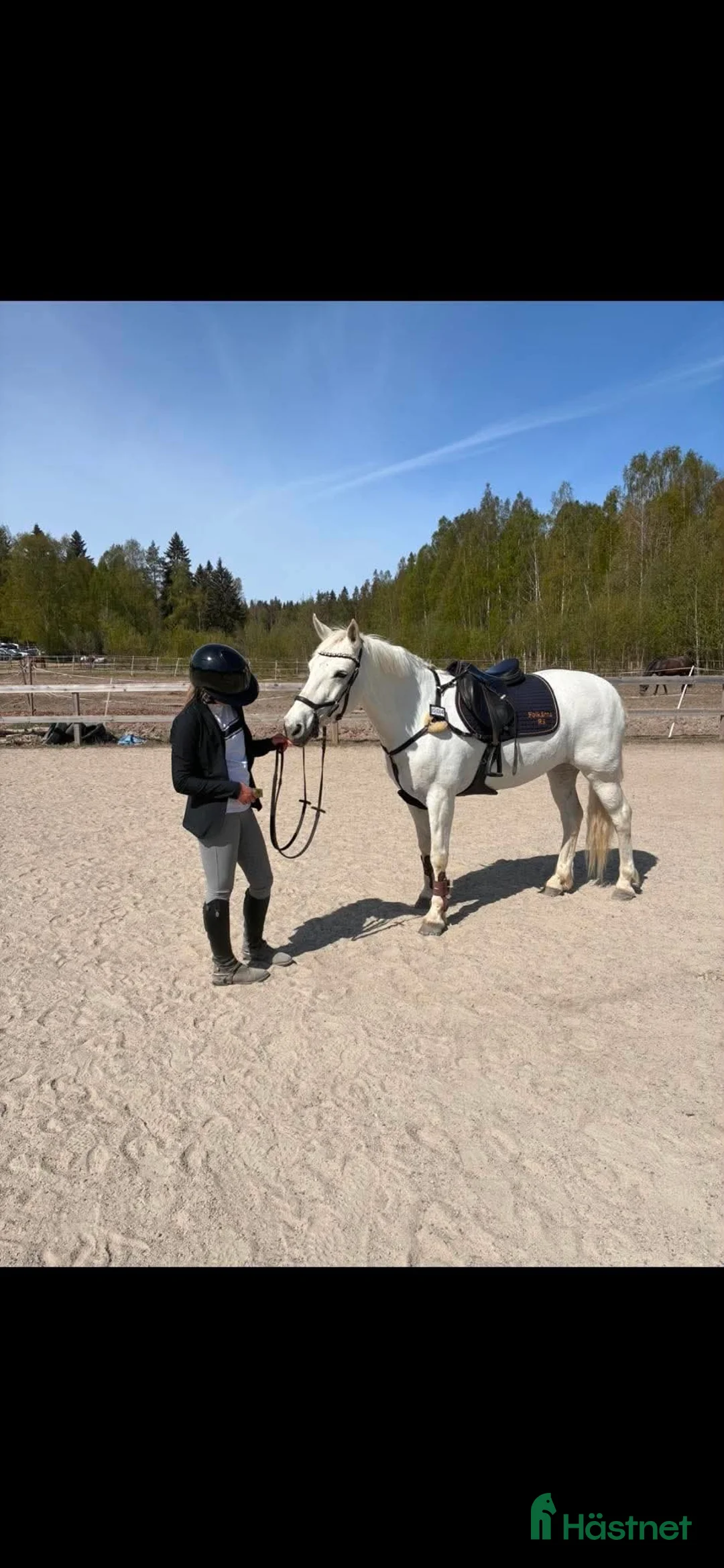Allround hästar till salu: Allroundponny - Annons 3