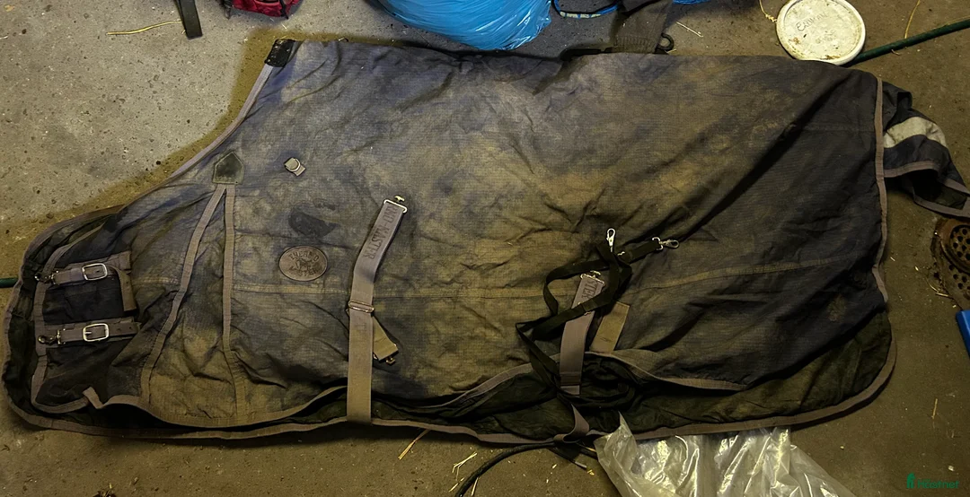 Täcken hästutrustning till salu: 200g utetäcke strl 145 i Hörby - Annons 1