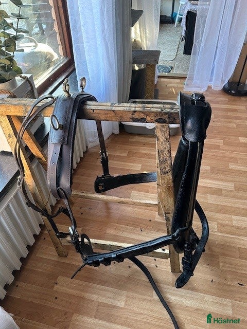 Körselar körning till salu: Loksele med tömmar, till COB el stor, FRAKT - Annons 13