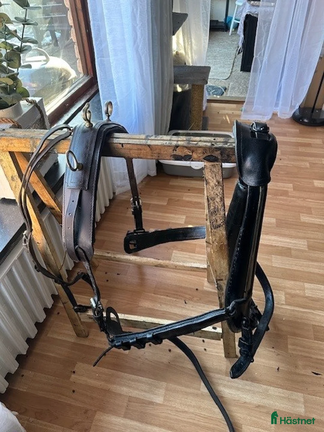 Körselar körning till salu: Loksele med tömmar, till COB el stor, FRAKT - Annons 1