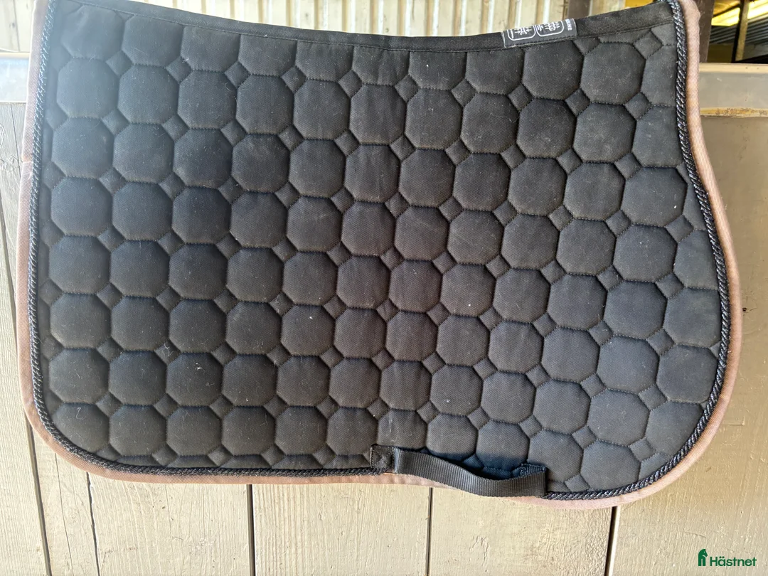 Schabrak & Vojlockar hästutrustning till salu: Equiline till salu i Strömstad - Annons 2