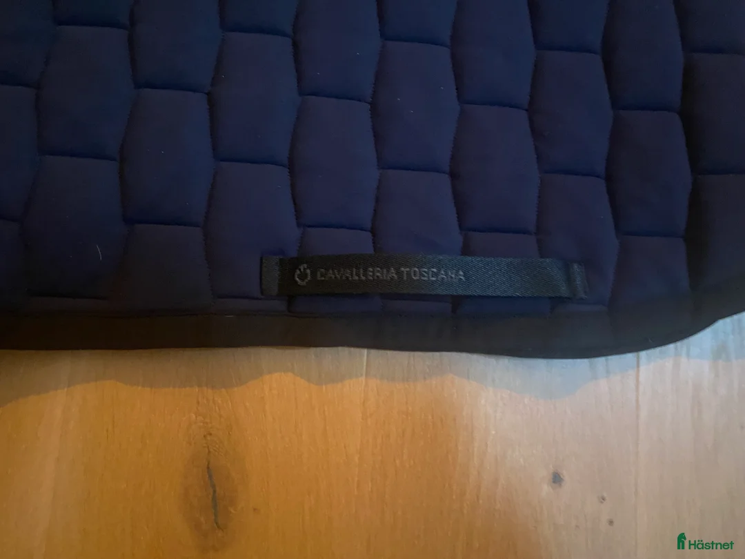 Schabrak & Vojlockar hästutrustning till salu: Cavalleria Toscana schabrak  - Annons 5