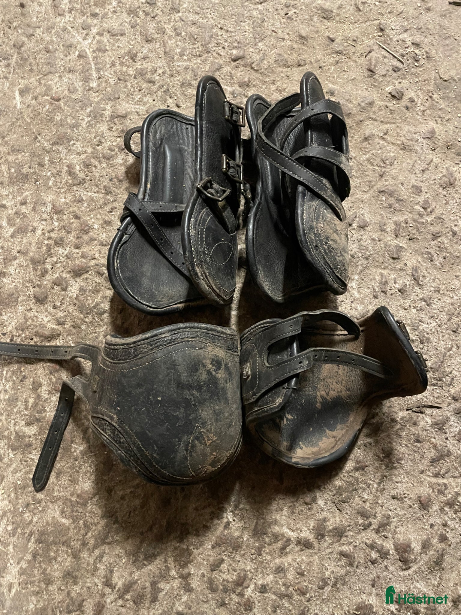 Benskydd hästutrustning Benskydd - Annons 2