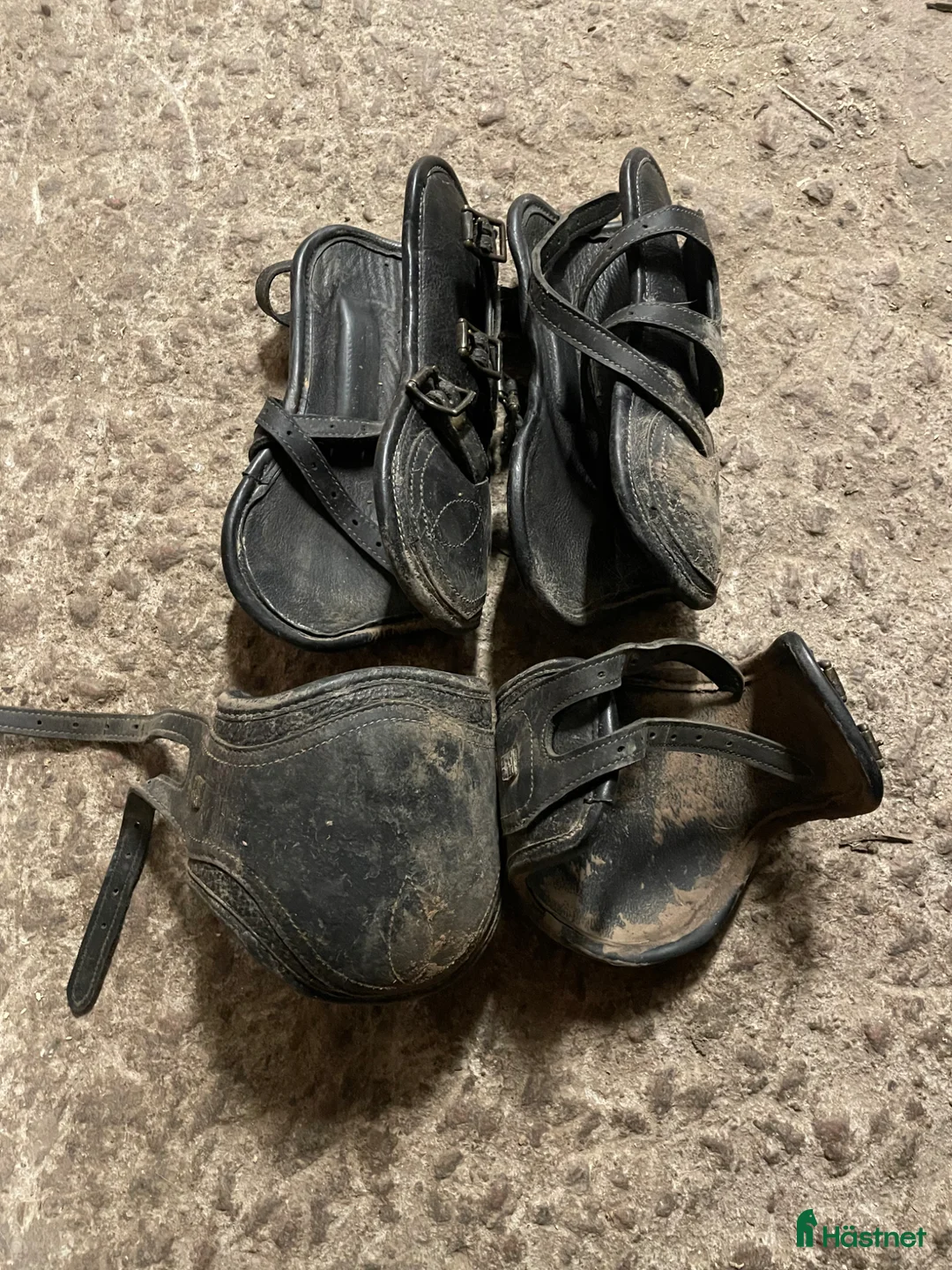 Benskydd hästutrustning till salu: Benskydd - Annons 1