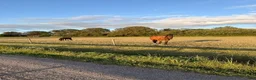  stallplats finnes: Stallplats ledig i Tånga - Annons 3