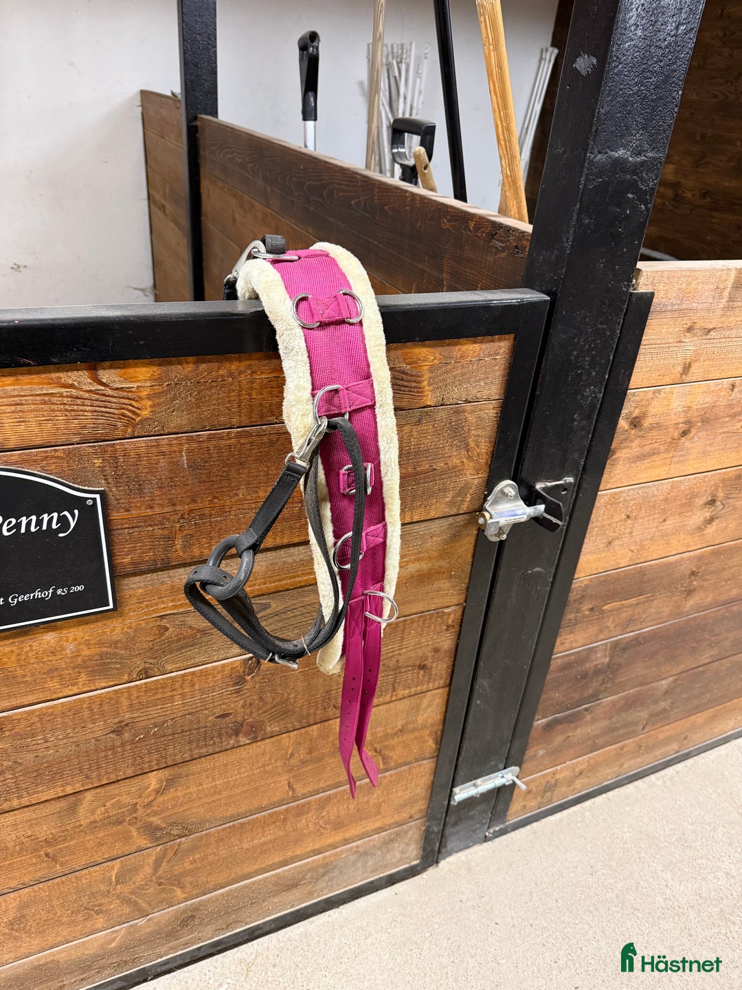 Övrig Hästutrustning hästutrustning till salu: Longergjord i Landeryd - Annons 1