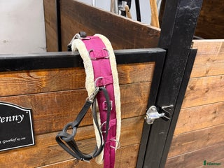 Övrig Hästutrustning hästutrustning till salu: Longergjord i Landeryd - Annons 1