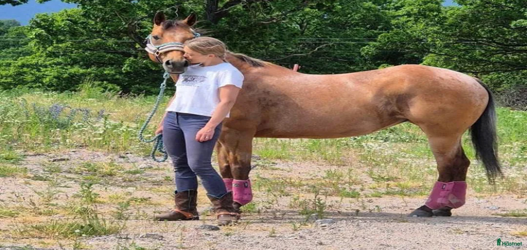 Galleribild {{count}}