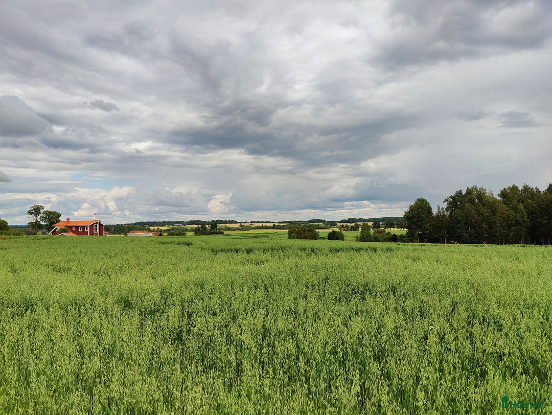 Galleribild {{count}}