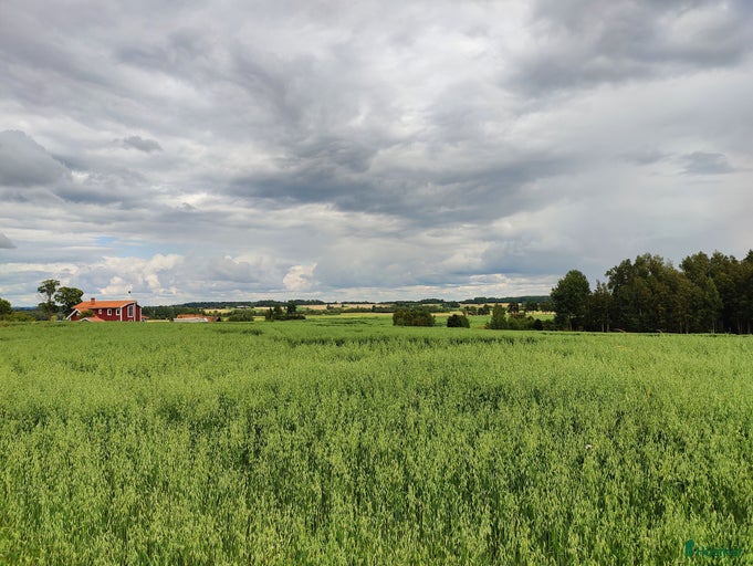 Galleribild {{count}}