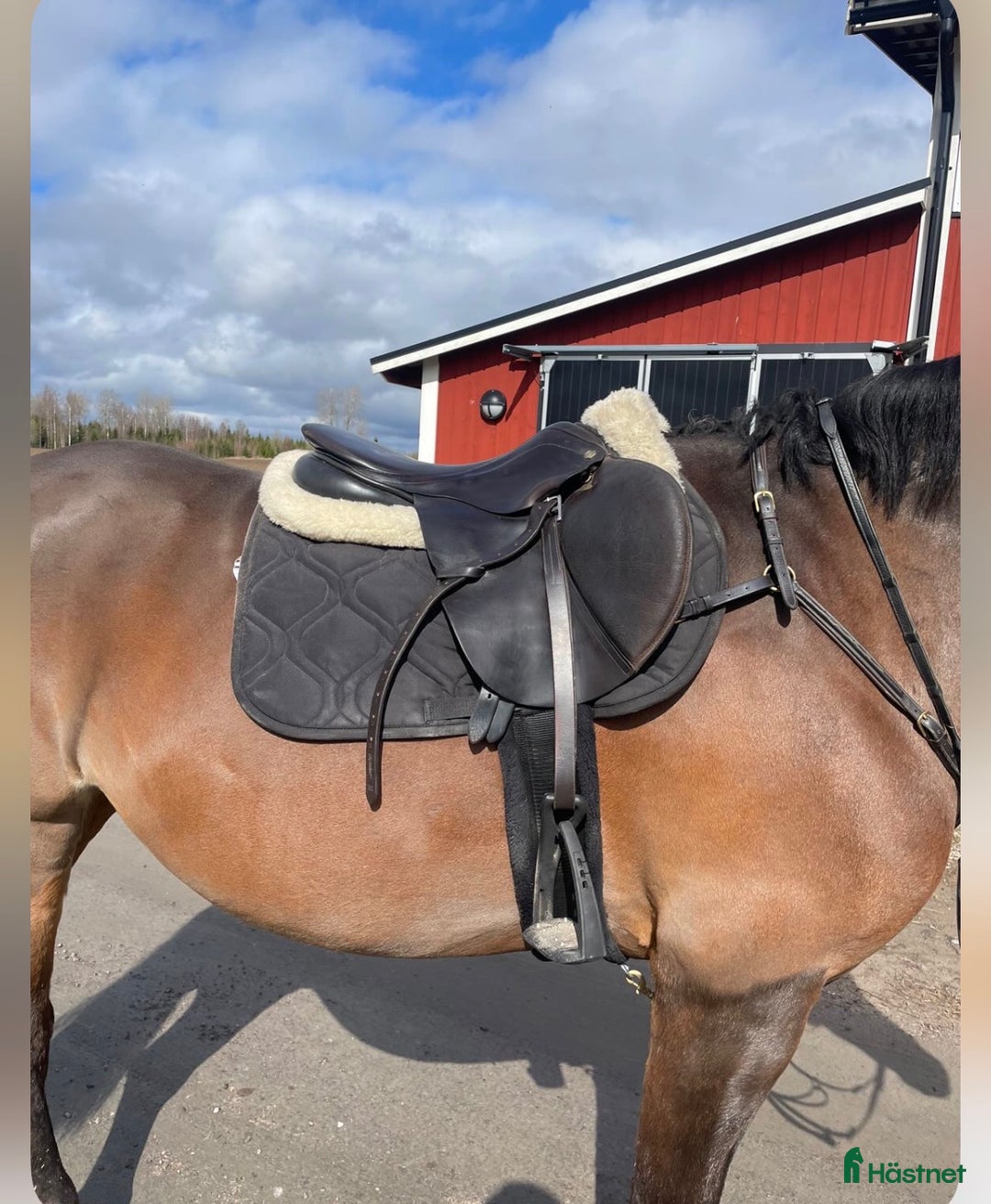 Sadlar hästutrustning till salu: Superfin Hoppsadel i Hova - Annons 1