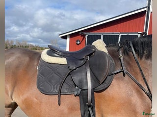 Sadlar hästutrustning till salu: Superfin Hoppsadel i Hova - Annons 2