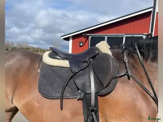 Sadlar hästutrustning Superfin Hoppsadel i Hova - Annons 23