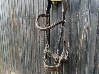 Träns hästutrustning till salu i Linghem - Annons 4