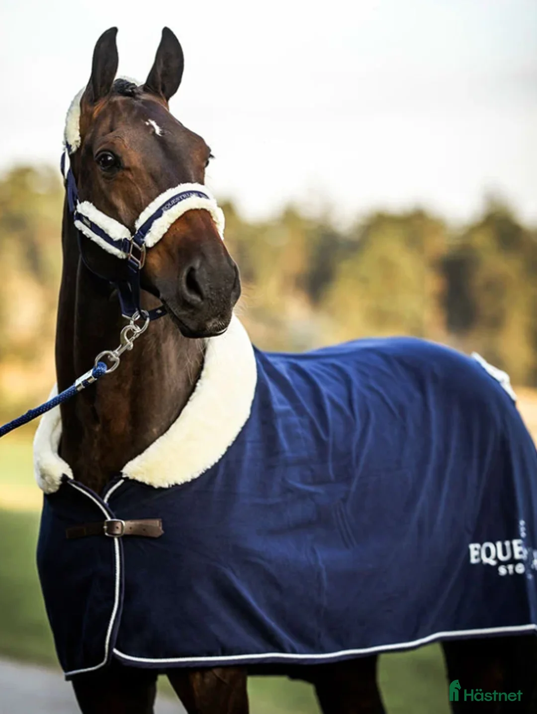 Täcken hästutrustning till salu: Equestrian Stockholm täcke, ES täcke i Trångsund - Annons 1